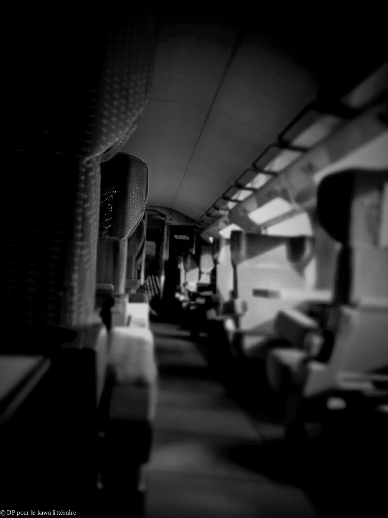 22022012-TGV Nantes-210212.jpg
